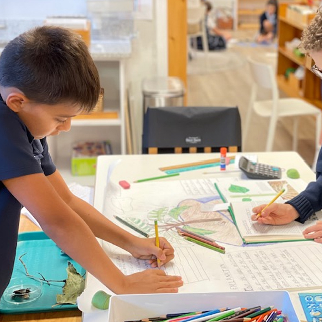 Elementary program students at AIA